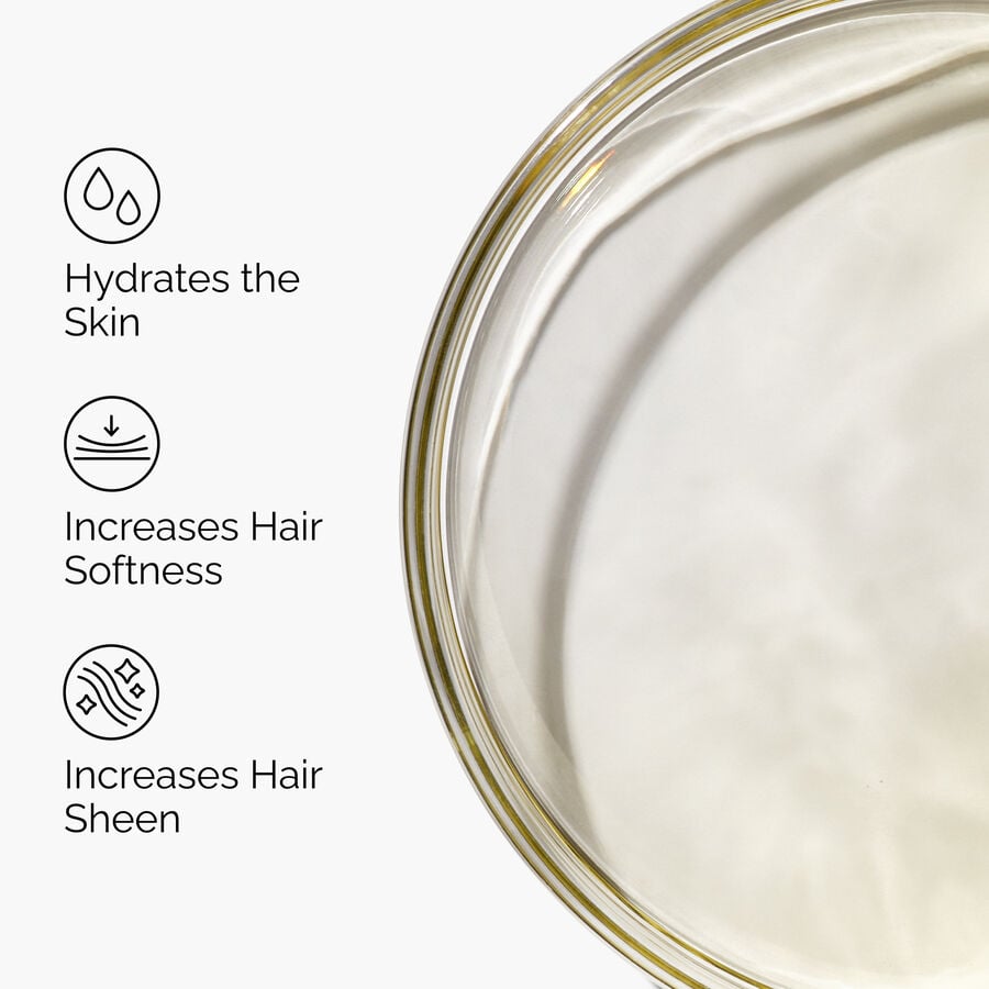 100-organic-cold-pressed-moroccan-argan-oil-m5 FY25-D41247-ORD-Web-PDP-100-Argan-Oil-1x1-EN-3.jpg