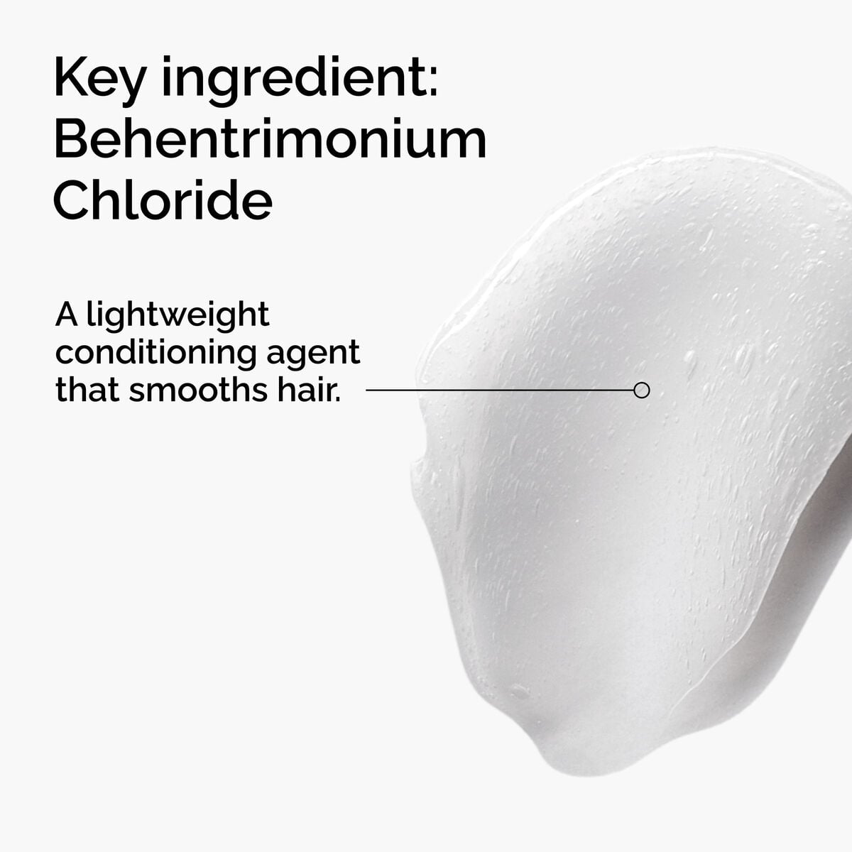 behentrimonium-chloride-2-conditioner-p5 FY25-D41247-ORD-Web-PDP-BTC-1x1-EN-2a.jpg