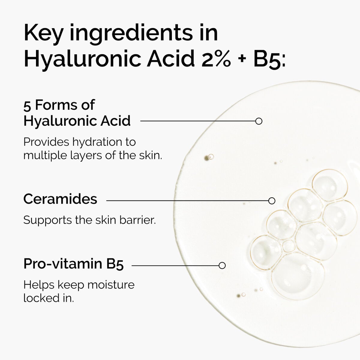 hyaluronic-acid-2-b5-with-ceramides-u8 ord-hyaluronic-acid-2pct-b5-hydrating-serum-ingredients-graphic.jpg